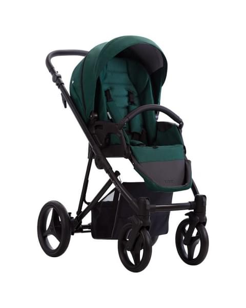 Детская коляска Bebetto Flavio 2 в 1 12 изумрудный