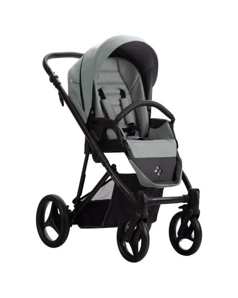 Детская коляска Bebetto Flavio Pro 2 в 1 09 шалфей кожа