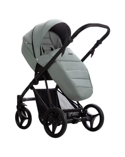 Детская коляска Bebetto Flavio Pro 2 в 1 09 шалфей кожа