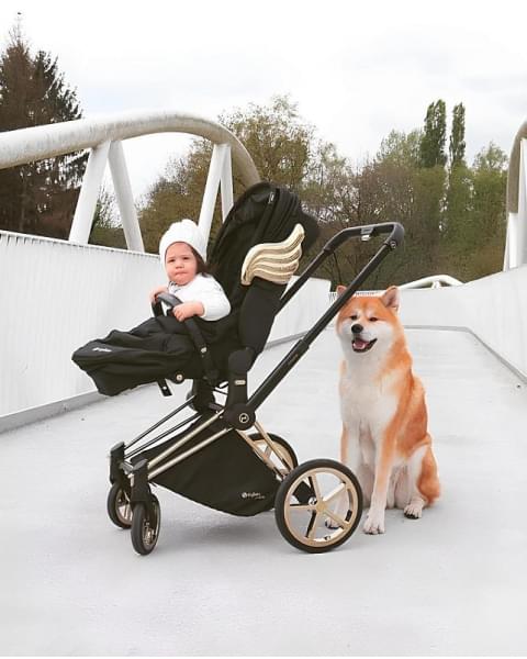 Детская коляска Cybex Priam IV Cloud Z i-Size 3 в 1 Jeremy Scott Wings