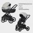 Детская коляска Riko Basic Montana Ecco 2 в 1 31 Light Silver-Black
