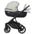 Детская коляска Riko Basic Montana Ecco 2 в 1 31 Light Silver-Black