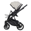Детская коляска Riko Basic Montana X Ecco 2 в 1 31 Light Silver-Black