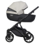 Детская коляска Riko Basic Montana X Ecco 2 в 1 31 Light Silver-Black