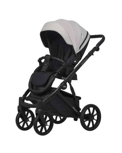 Детская коляска Riko Basic Montana Ecco 2 в 1 31 Light Silver-Black
