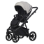 Детская коляска Riko Basic Montana X Ecco 2 в 1 31 Light Silver-Black