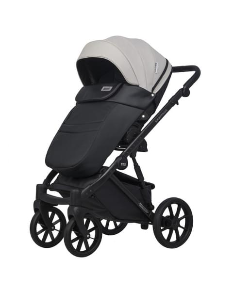 Детская коляска Riko Basic Montana Ecco 2 в 1 31 Light Silver-Black