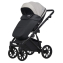 Детская коляска Riko Basic Montana X Ecco 2 в 1 31 Light Silver-Black