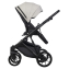 Детская коляска Riko Basic Montana X Ecco 2 в 1 31 Light Silver-Black