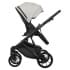 Детская коляска Riko Basic Montana Ecco 2 в 1 31 Light Silver-Black