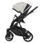 Детская коляска Riko Basic Montana X Ecco 2 в 1 31 Light Silver-Black
