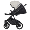 Детская коляска Riko Basic Montana X Ecco 2 в 1 31 Light Silver-Black