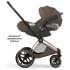 Коляска Cybex Priam V Rosegold Style Collection 2 в 1 Coconut Brown