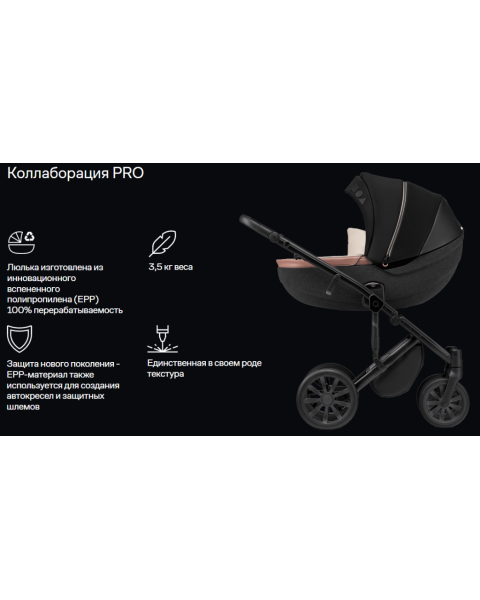 Коляска 2 в 1 Anex m/type PRO x Safa Sahin