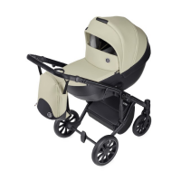 Коляска 2 в 1 Anex m/type, Sage / Зеленый (mt-12Q)