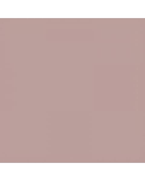 Коляска 2 в 1 Carrello Vector CRL-6550 Cupcake Beige