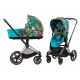 Коляска 2 в 1 Cybex Priam IV We The Best/Rosegold