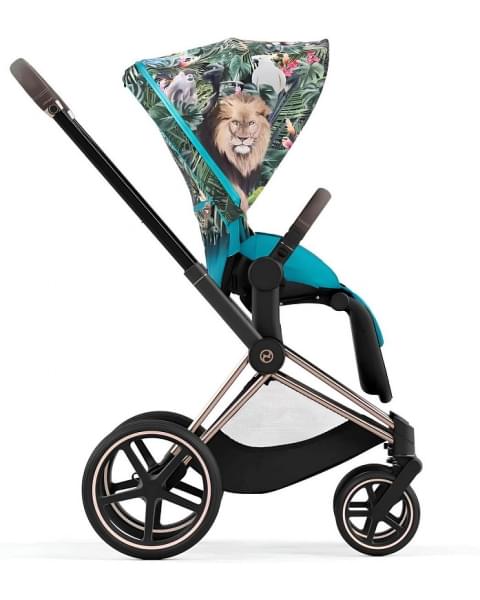 Коляска 2 в 1 Cybex Priam IV We The Best/Rosegold