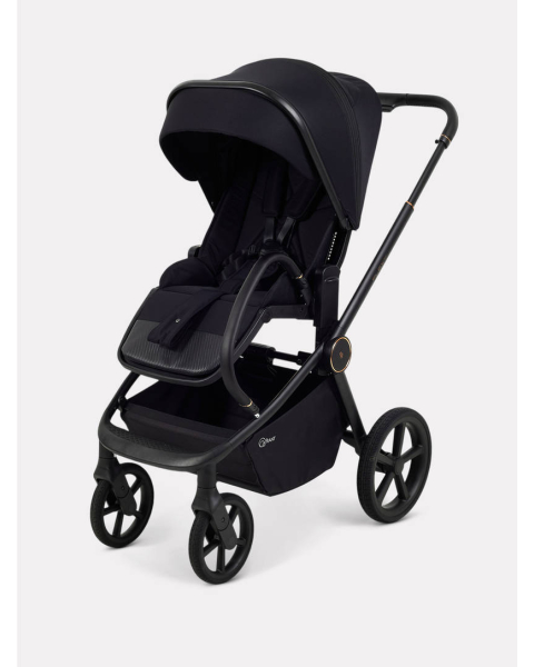 Коляска 2 в 1 Rant Flex Soft Therm Gold black
