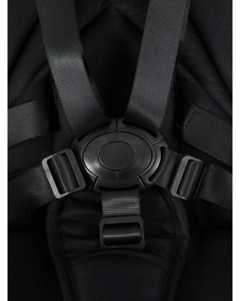 Коляска 2 в 1 Rant Flex Soft Therm Gold black