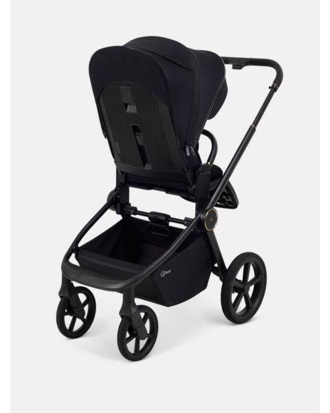 Коляска 2 в 1 Rant Flex Soft Therm Gold black