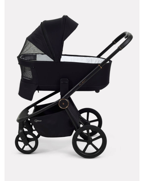 Коляска 2 в 1 Rant Flex Soft Therm Gold black