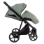Детская коляска 2 в 1 Roan Sol 2.0 Sage Green/Black/руч.Black