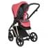 Коляска 3 в 1 Roan Sol Luxury, Viva Magenta шасси Gold (Розовый)