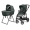 Коляска Peg Perego Veloce TC New Belvedere 2 в 1 Metal