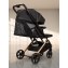 Коляска прогулочная Amarobaby Route, Черный / Золотой