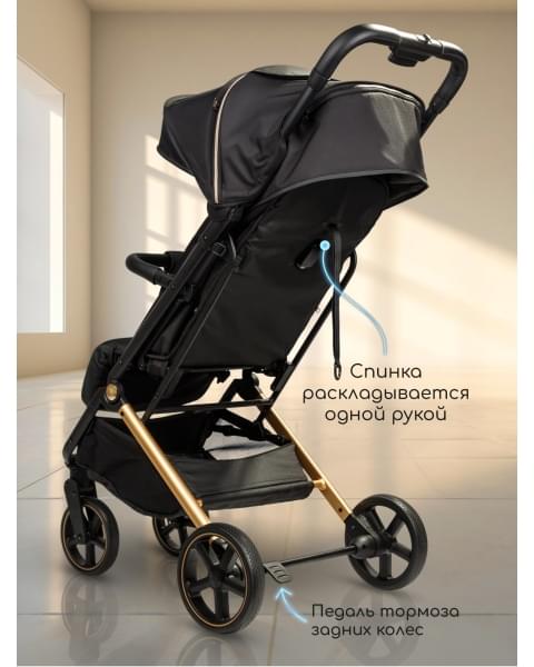 Коляска прогулочная Amarobaby Route, Черный / Золотой