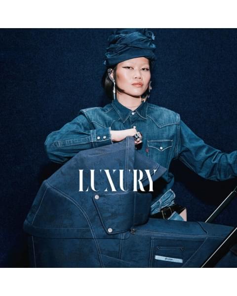 Спальный блок для коляски Cybex Priam IV Rebellious Luxury Denim Blue