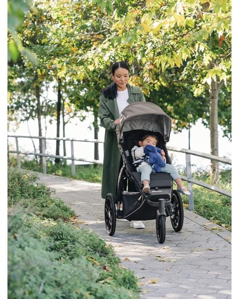 Коляска прогулочная UPPAbaby RIDGE Theo