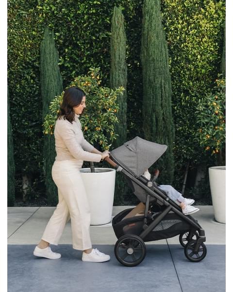 Коляска 2в1 UPPAbaby VISTA V3 GREYSON