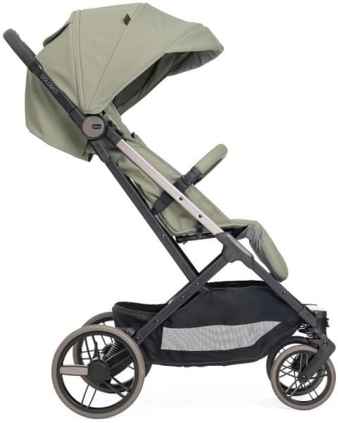 Коляска прогулочная Chicco Dolomiti Meadow
