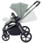 Детская коляска Rant Flex Therm Soft 3 в 1 с автокреслом Cruise Forest Green