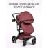 Коляска трансформер Aimile Adventurer бургунди-темный