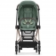 Cybex Mios III прогулочная коляска, шасси Rosegold, Leaf Green