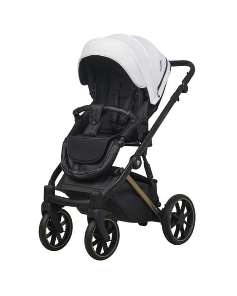 Детская коляска Riko Basic Montana Premium Gold 2 в 1 01 White