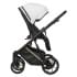 Детская коляска Riko Basic Montana Premium Gold 2 в 1 01 White