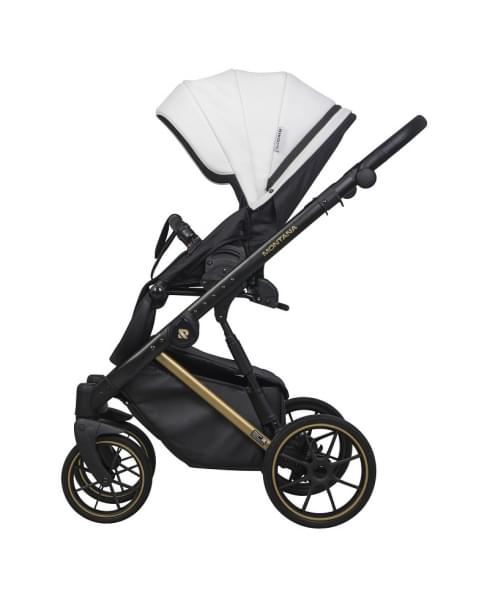 Детская коляска Riko Basic Montana Premium Gold 2 в 1 01 White