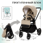 Детская коляска Sweet Baby Stella Plus Therma 2 в 1 427417 Beige