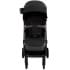 Детская прогулочная коляска Pituso Ice IC/001 Black