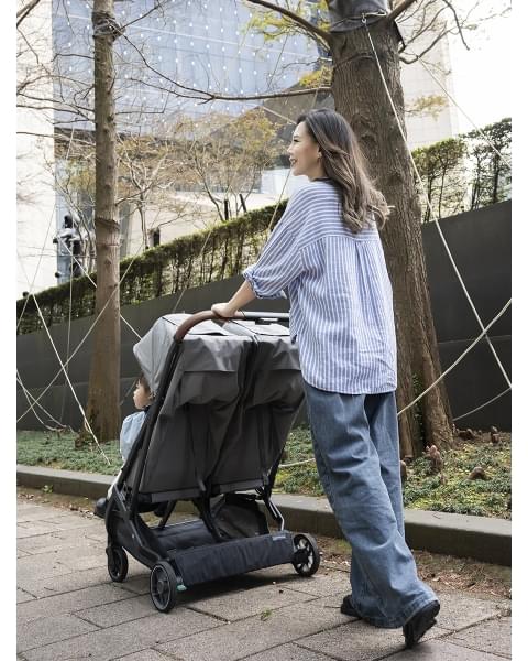 Коляска для двойни UPPAbaby MINU V3 GREYSON