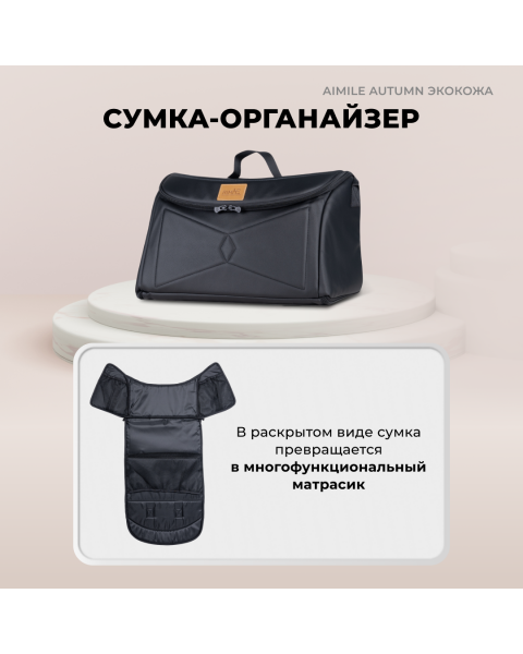 Коляска-трансформер Aimile Original Autumn AA-1