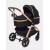 Коляска-трансформер Rant Basic Roller Gold RA161, Black (Черный)