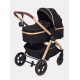 Коляска-трансформер Rant Basic Roller Gold RA161, Black (Черный)