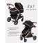 Коляска-трансформер Rant Basic Roller Gold RA161, Black (Черный)