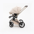 Коляска 2 в 1 Agex Prima 4x4, Beige (Бежевый)