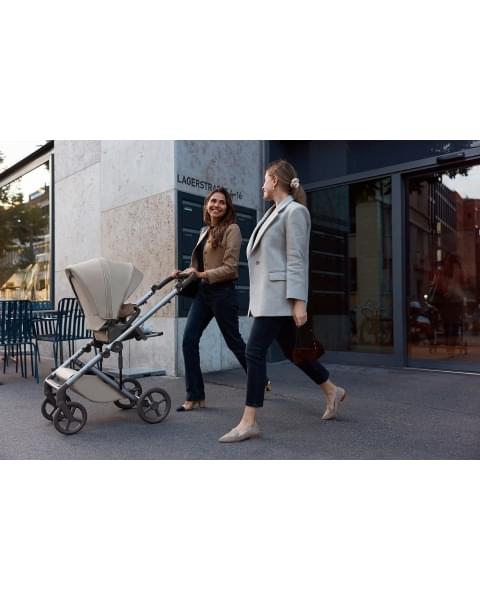 Коляска 2 в 1 Anex Eli, Gato (el-11)